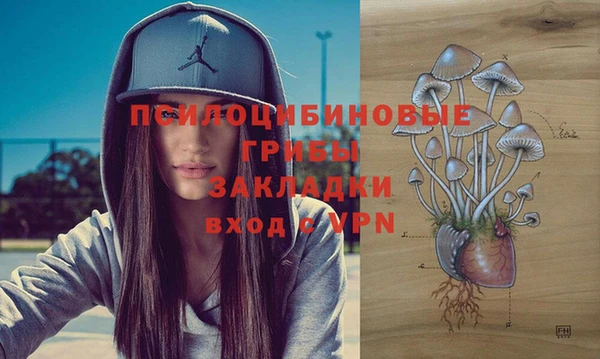 крисы Бугульма