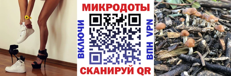 Галлюциногенные грибы Psilocybe  Купить где  Верхотурье 